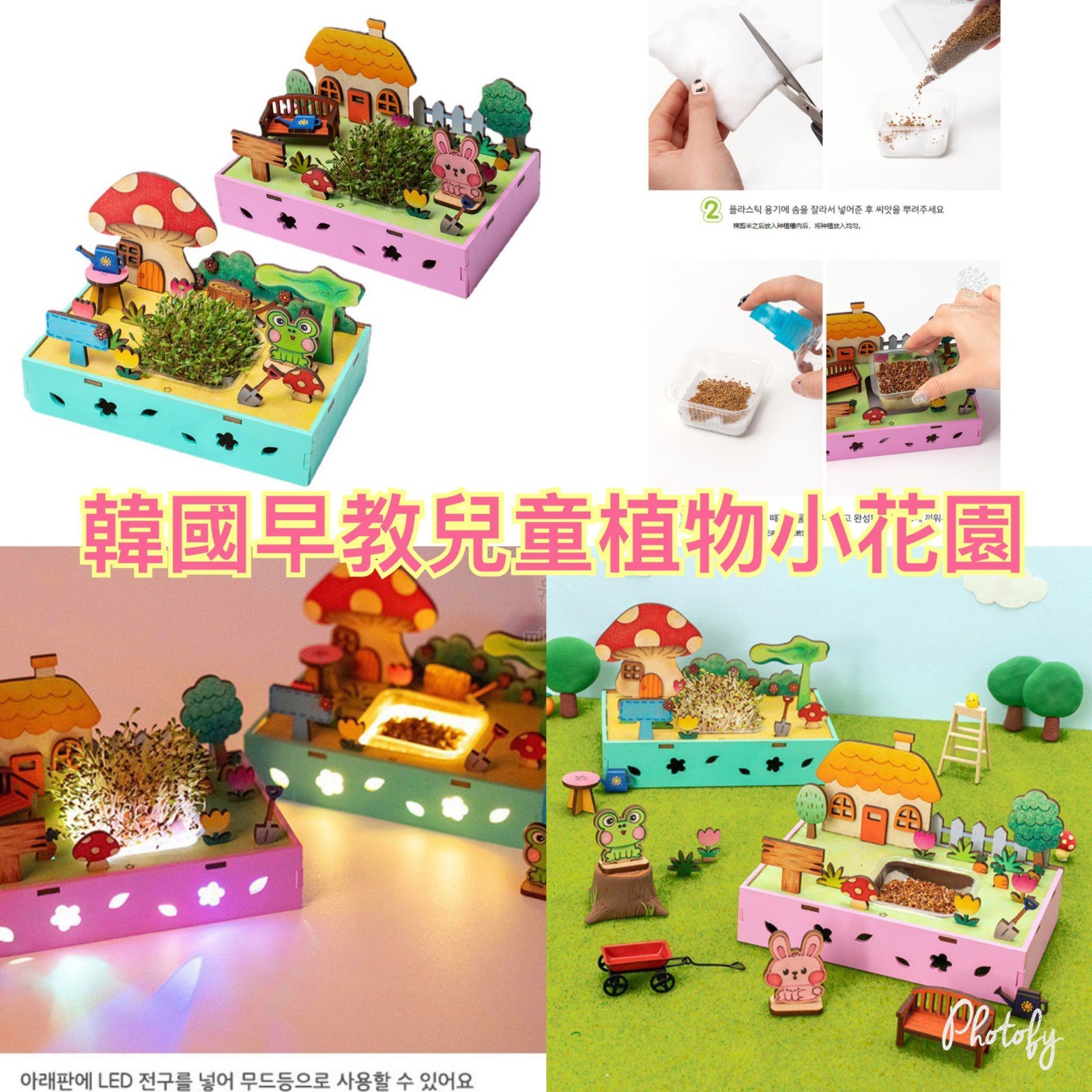 $6O盒。2盒起$5O盒。 韓國兒童種植小花園