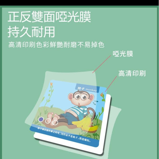 歡樂小偵探現貨*