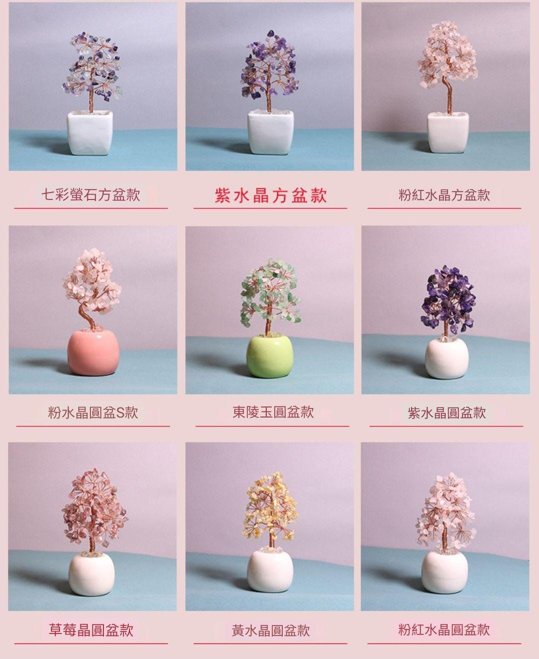 $75件。2件起$65件。水晶招财树小盆栽