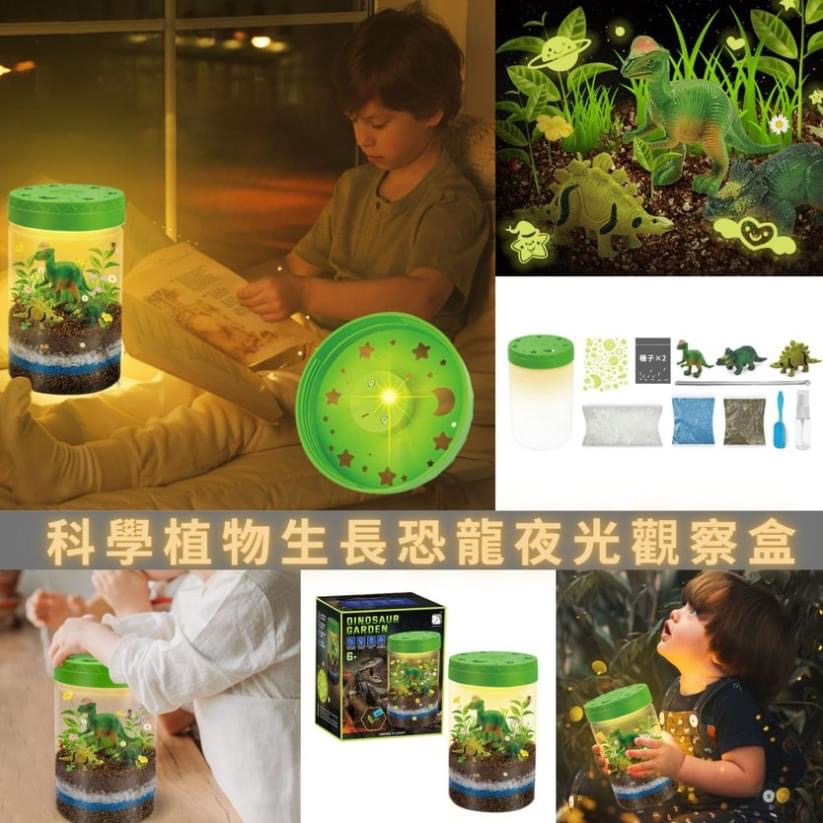 $7O/1。2件起$6O/1。科学植物生长恐龙夜光观察盒