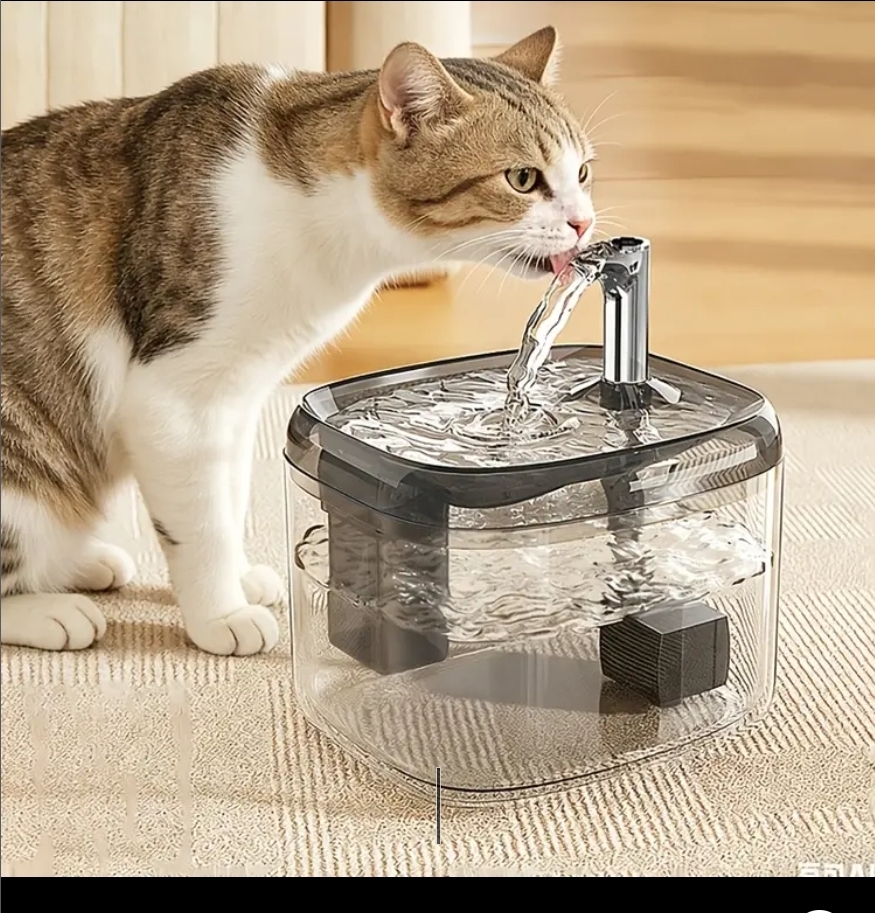 $75部。🐾 貓主子不愛喝水？那是因為少了這台「神奇水龍頭」！🐾