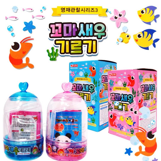 韓國養蝦水族館🇰🇷
