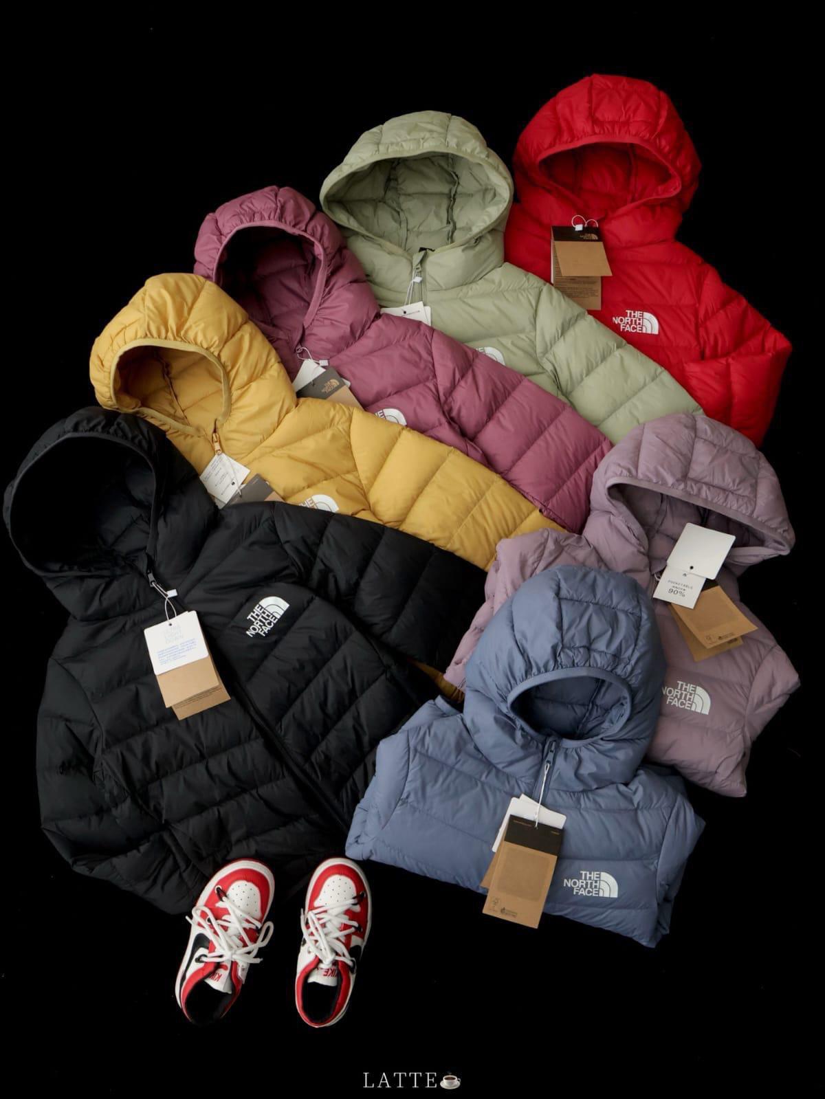 $155件、2件起$ 150件。廠單TNF七色白鴨羽絨